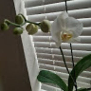 Meet your Posher, Fred